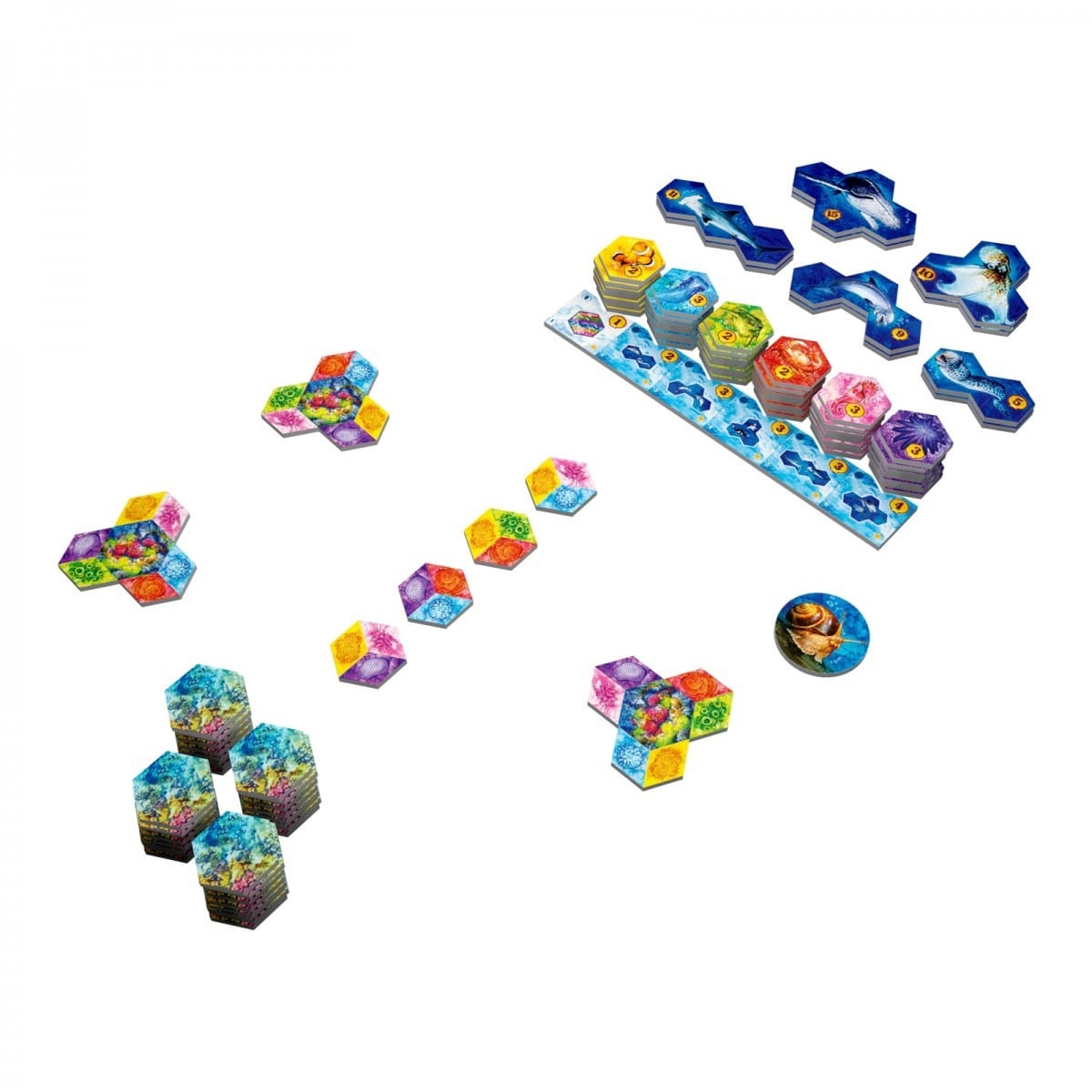 AQUA - Imagen 2