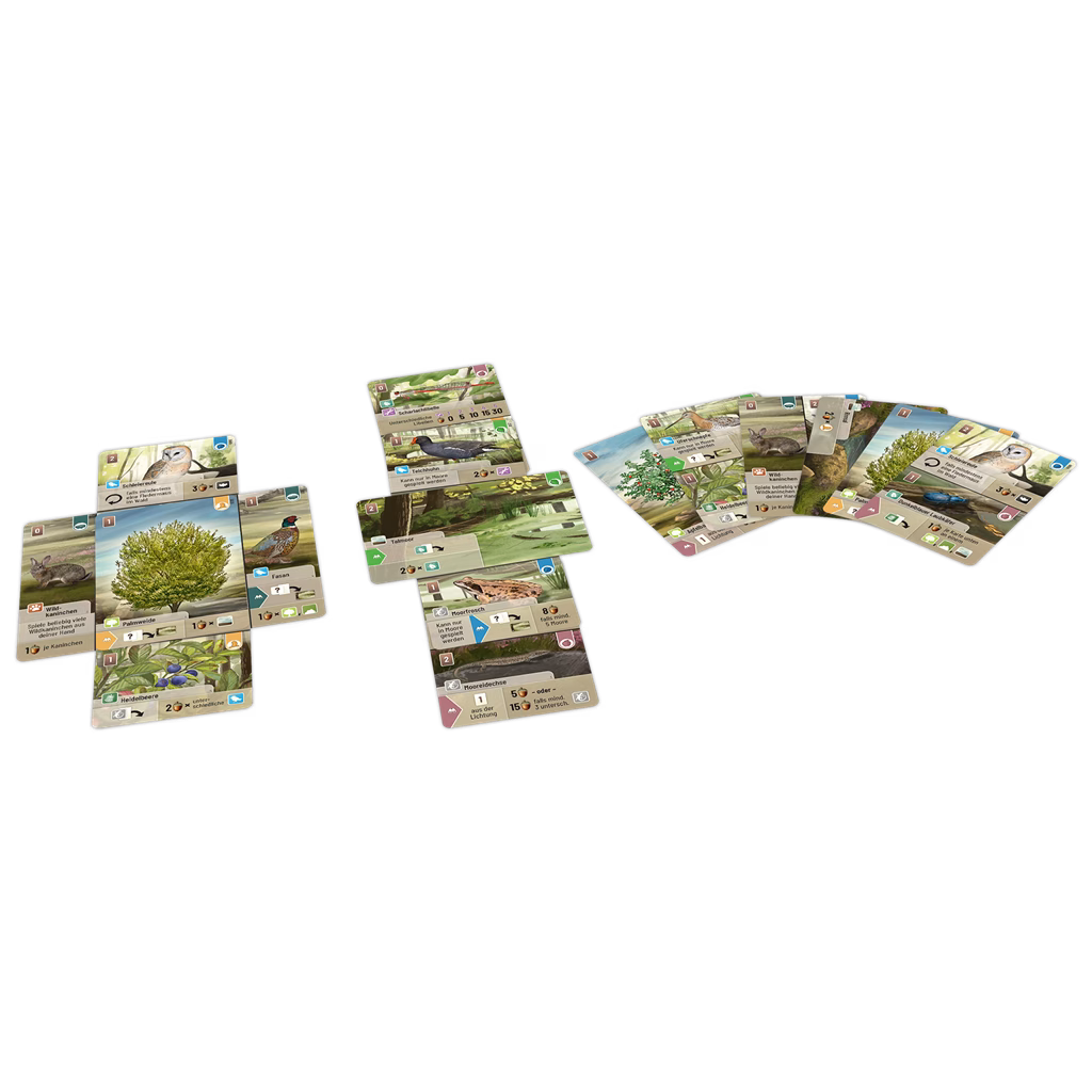 Forest Shuffle Dartmoor - Imagen 2